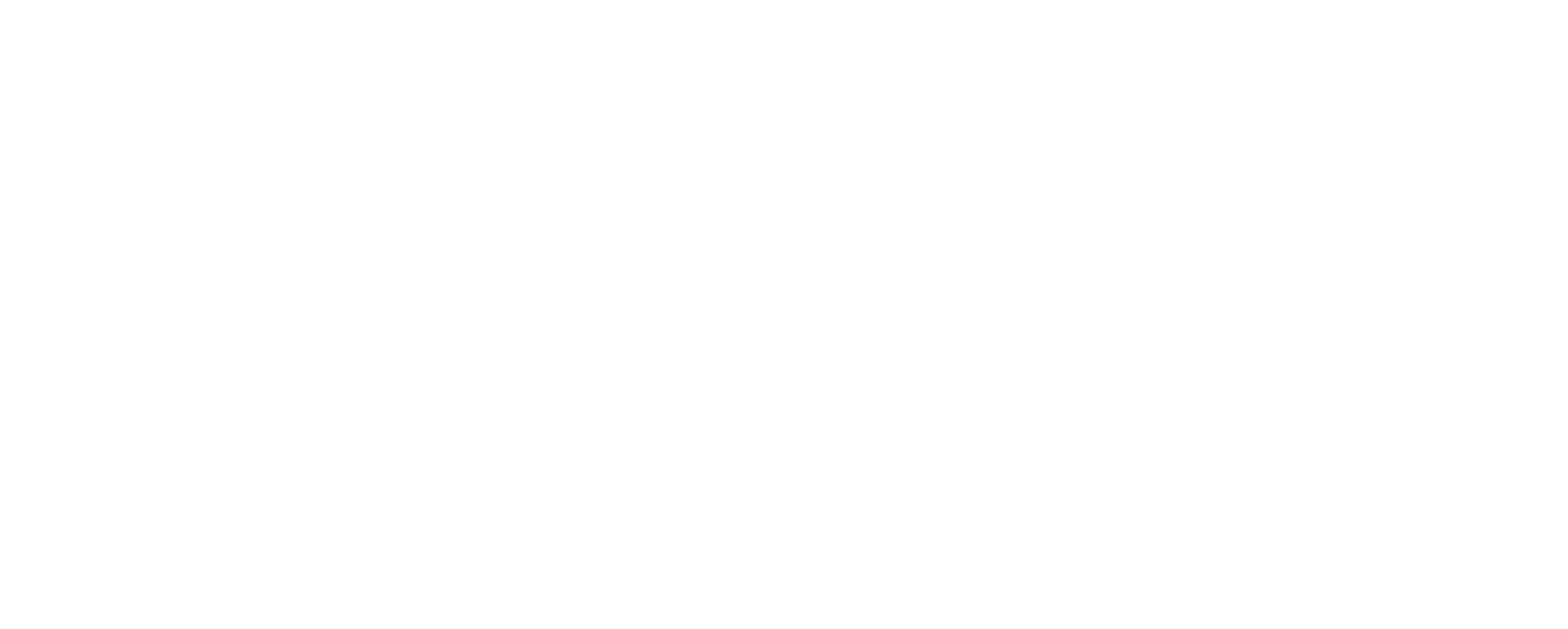 Safeguard Safety Shoes